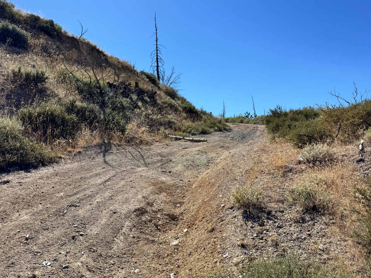 Colorado Hill Road - FS 31326 photo 3