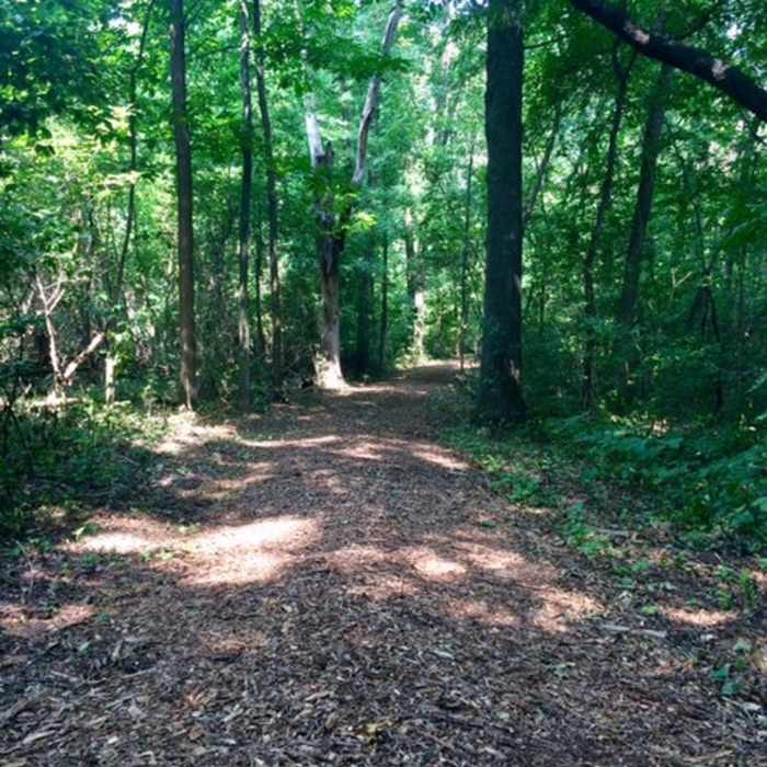 Near University of Wisconsin-Green Bay Cofrin Arboretum