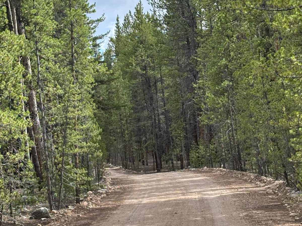 Red Mountain Creek Road photo 6