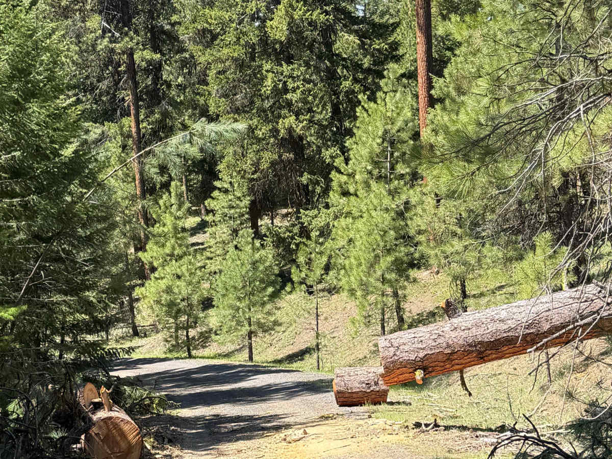 Pine Creek Road trail photo