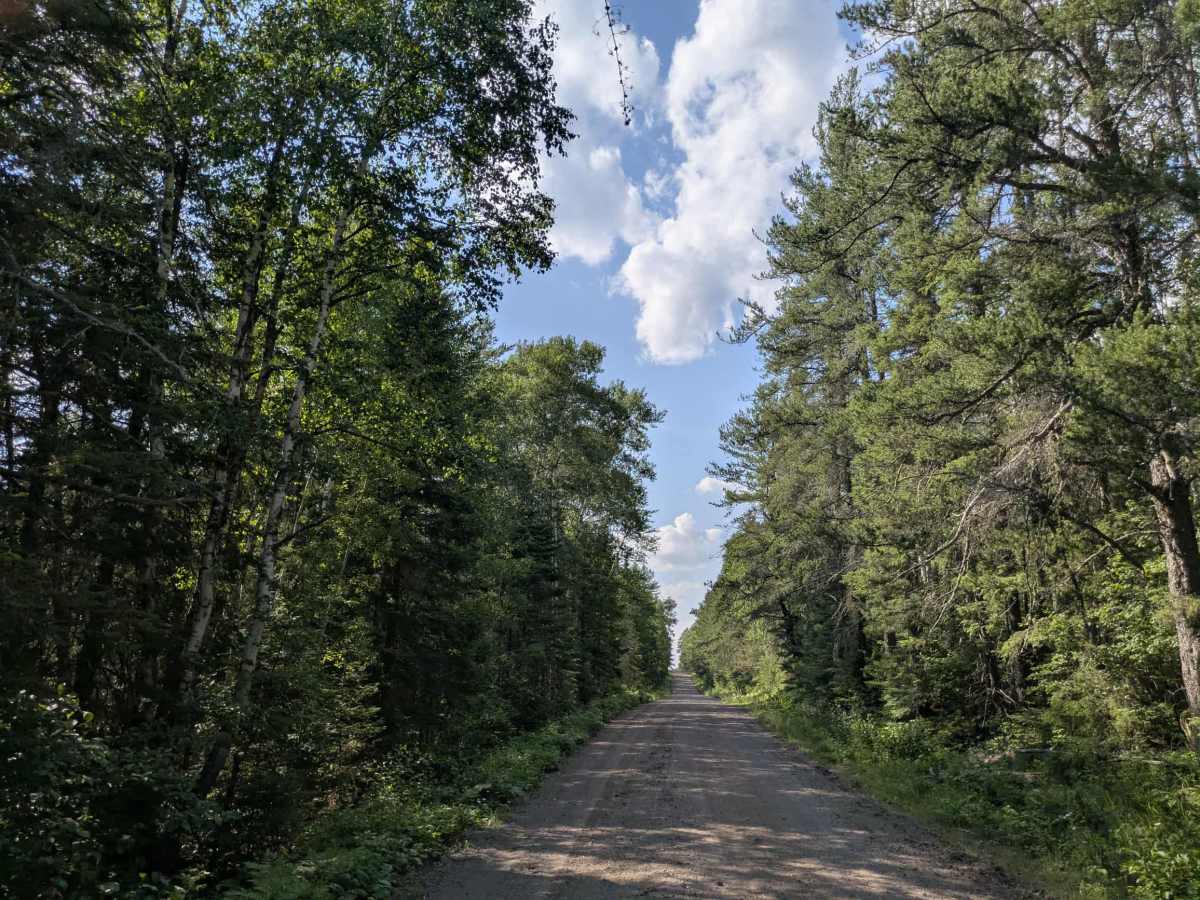 Northwest trail photo