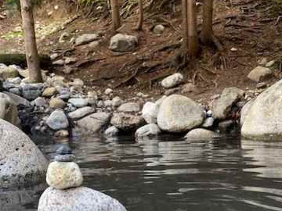 Halfway Hot Springs Road photo 3