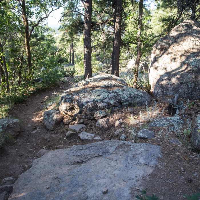 Near Elden Lookout Trail