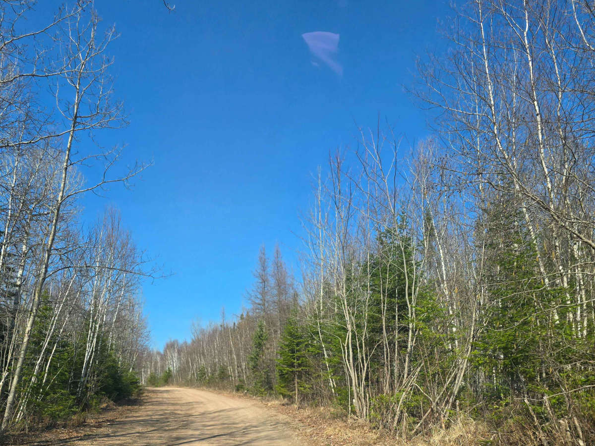 Campbell Brook Road  photo 6