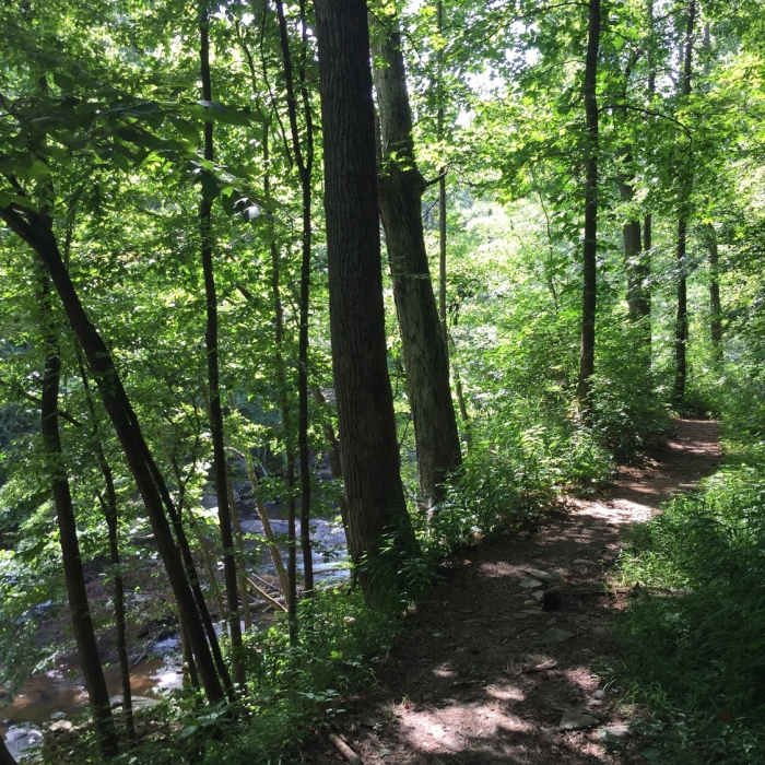The short section of trail across Paper Mill Road goes by additional ruins and runs right along the Creek. Near Columns Drive to Sope Creek Figure 8