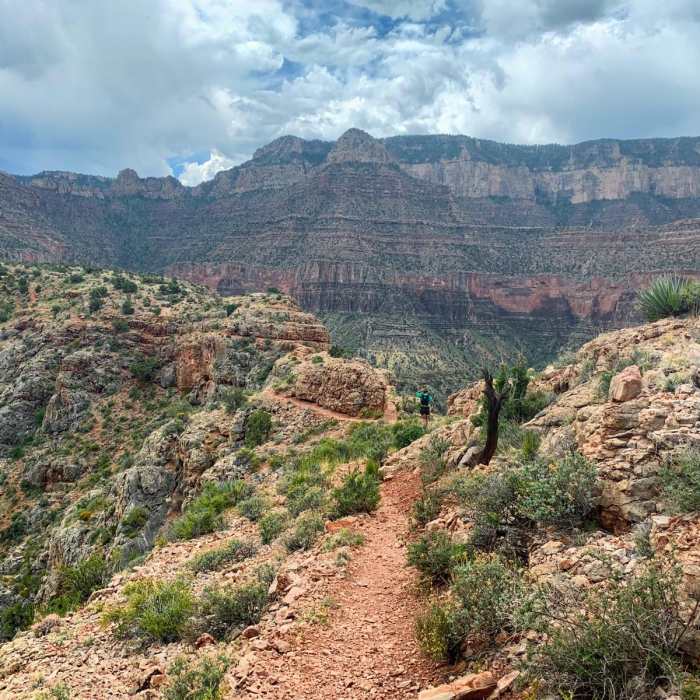 Near Horseshoe Mesa Loop