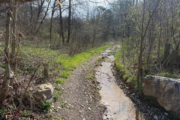 Telegraph Trail