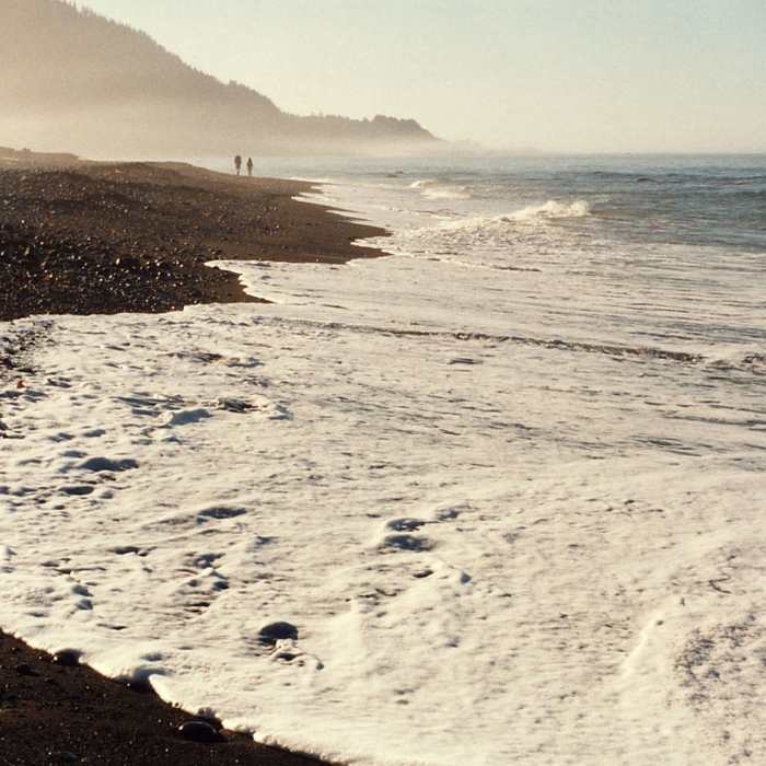 Near Lost Coast Trail: North (Mattole - Black Sands Beach)