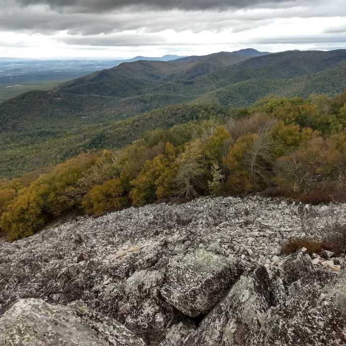 Near Turk Mountain Out and Back