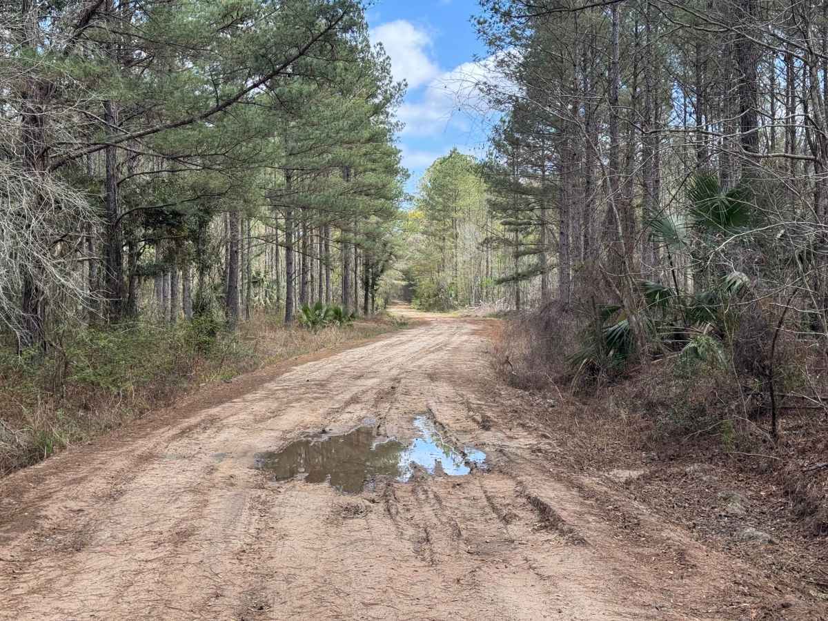 Gibson Island Road photo 4