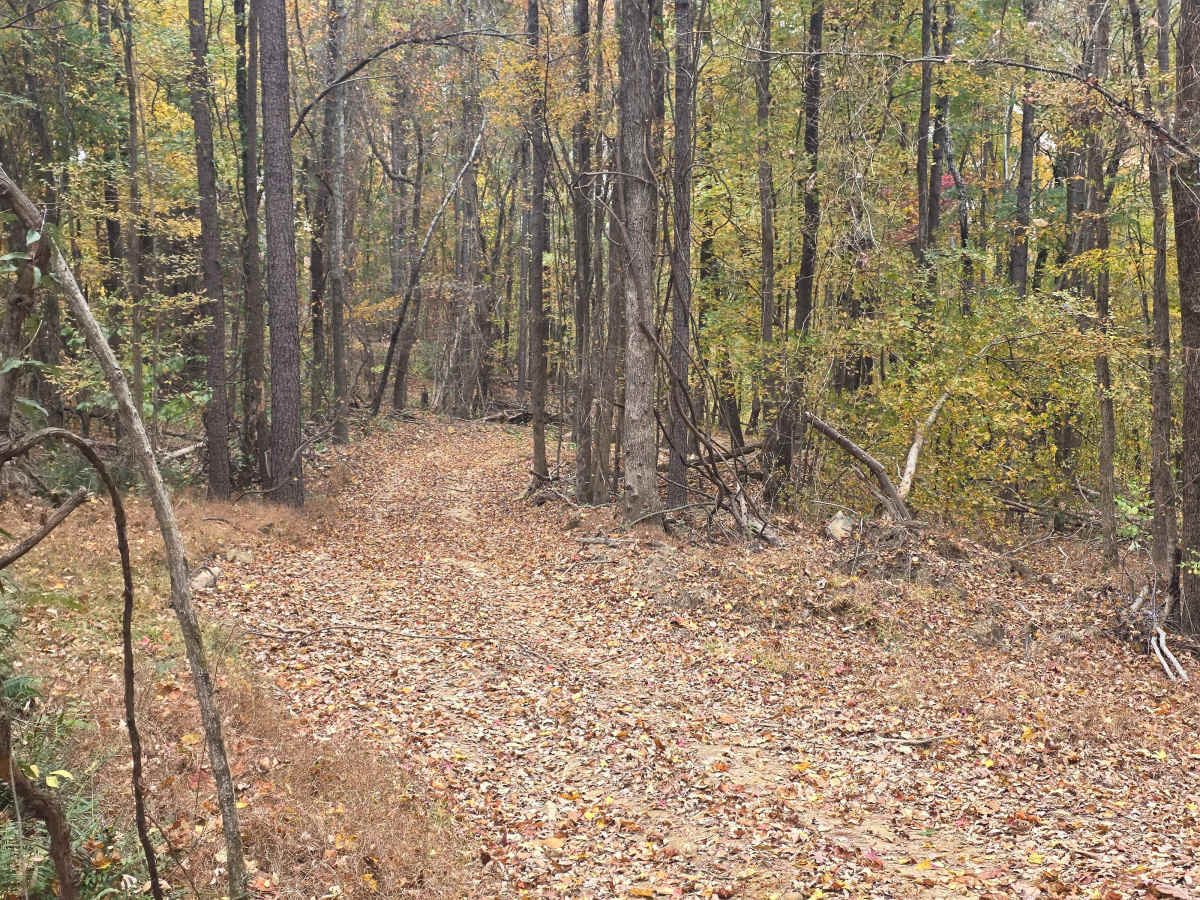 Spectator Ridge photo 2