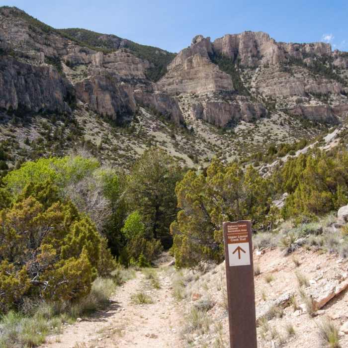 Near Upper Layout Creek Trail