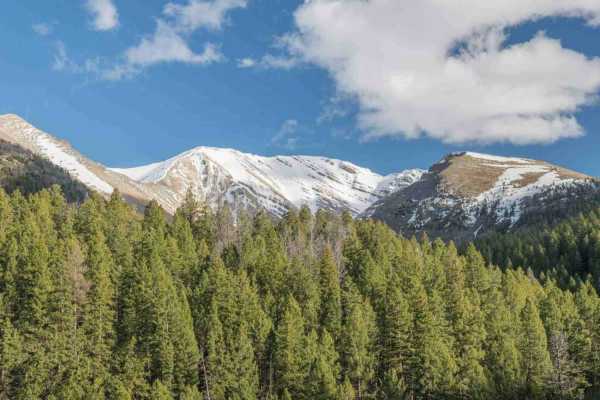 Doublespring Pass