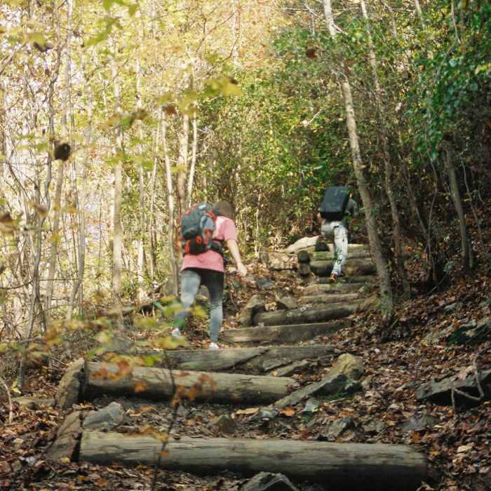 Near Lula Lake Land Trust: Middle Trail Near Lula Lake Land Trust: Middle Trail