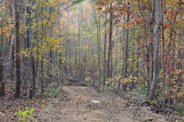 Hardwood Hollow Bypass