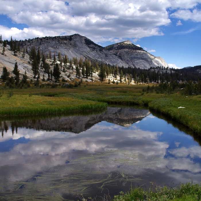 Along Fletcher Creek Near Emeric Creek Trail