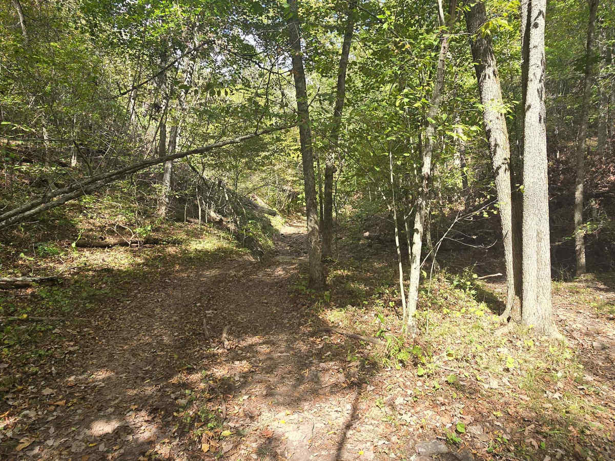 Hungover Trail photo 5