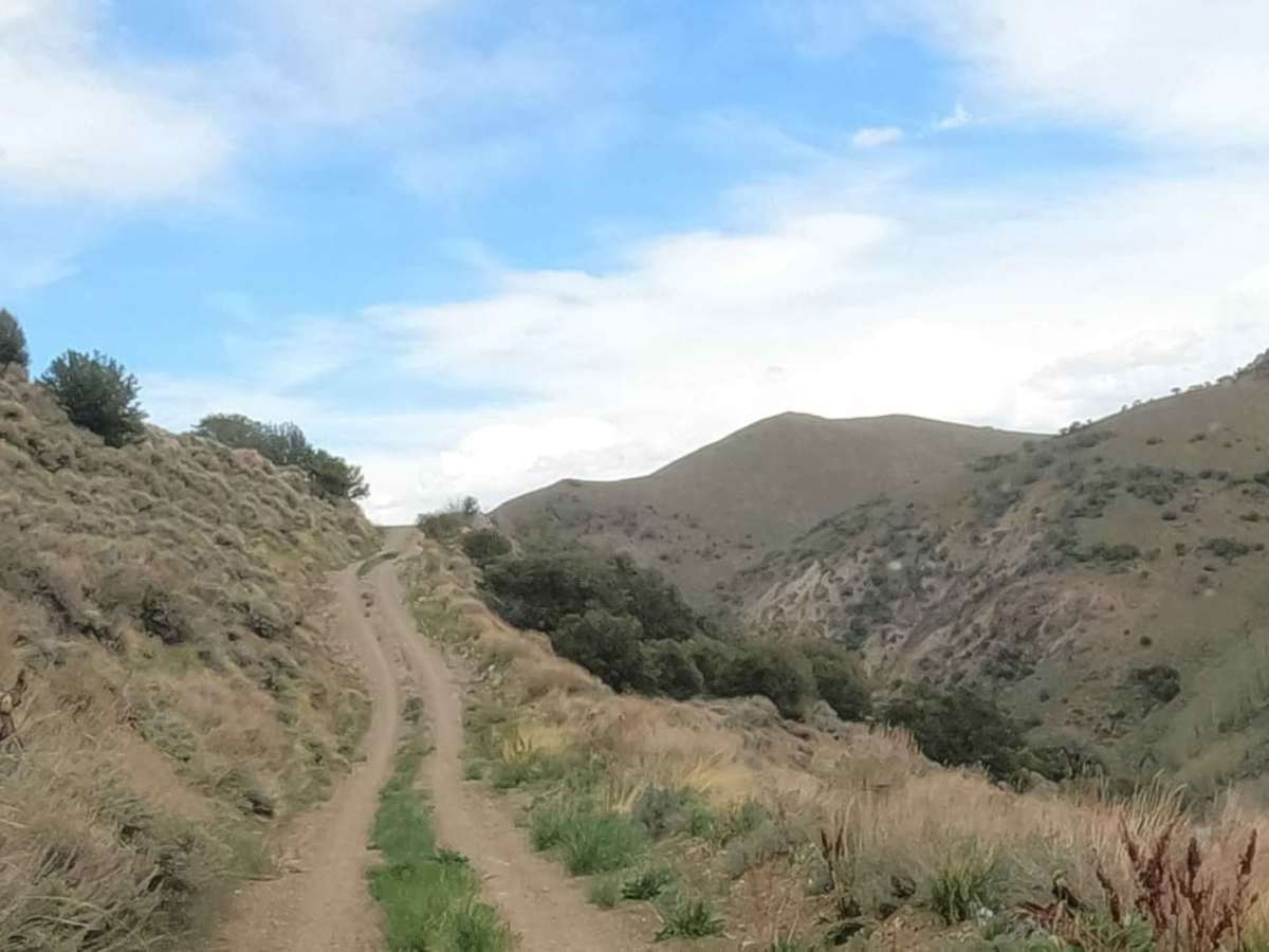 South Fork Birch Creek Road - NF43243 photo 6