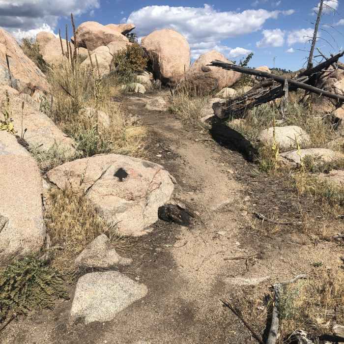 Near On the Rocks Connector