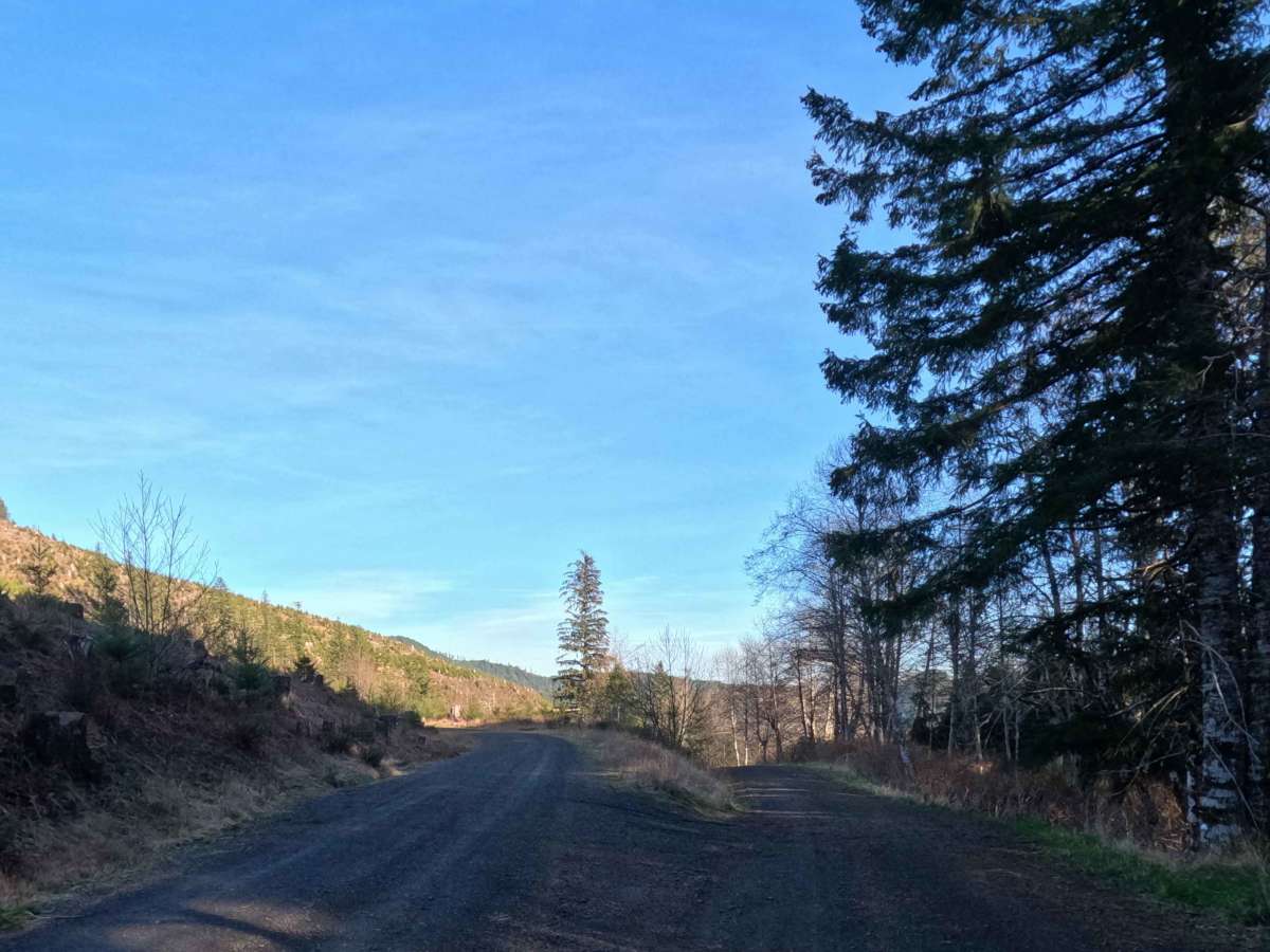 Bobcat Cutoff Road photo 2