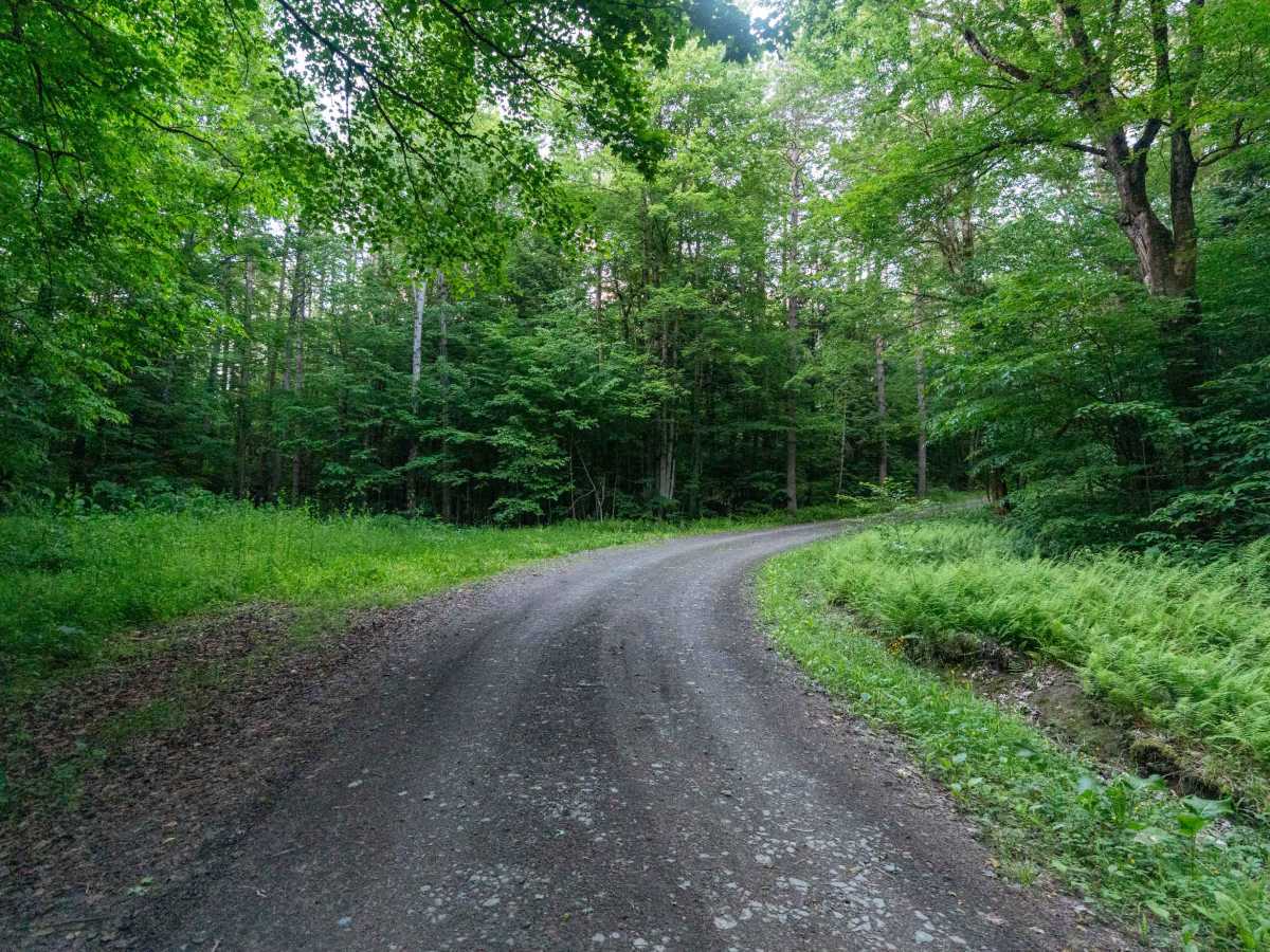 Truck Trail 5 photo 5