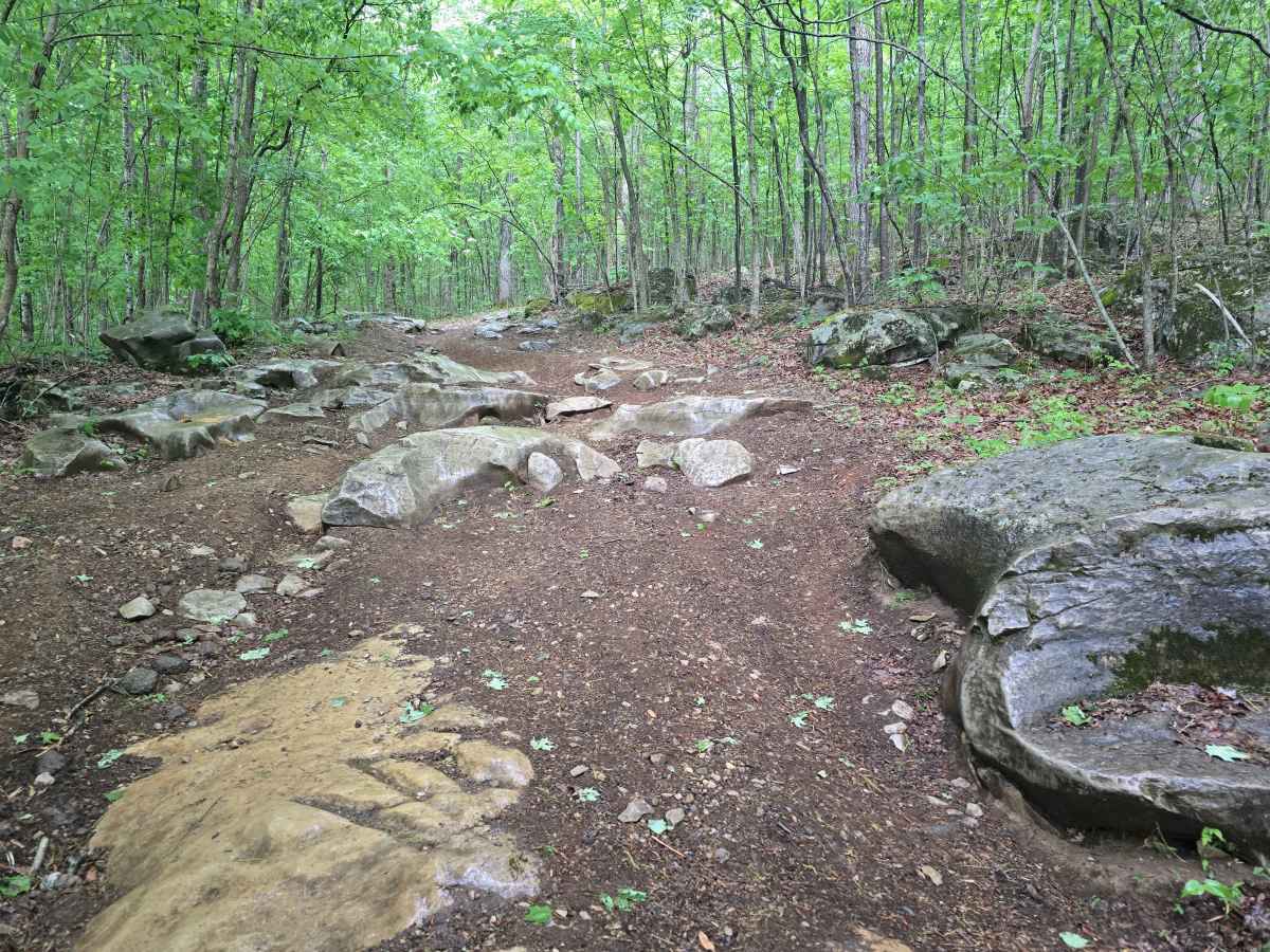Trail 1B photo 4