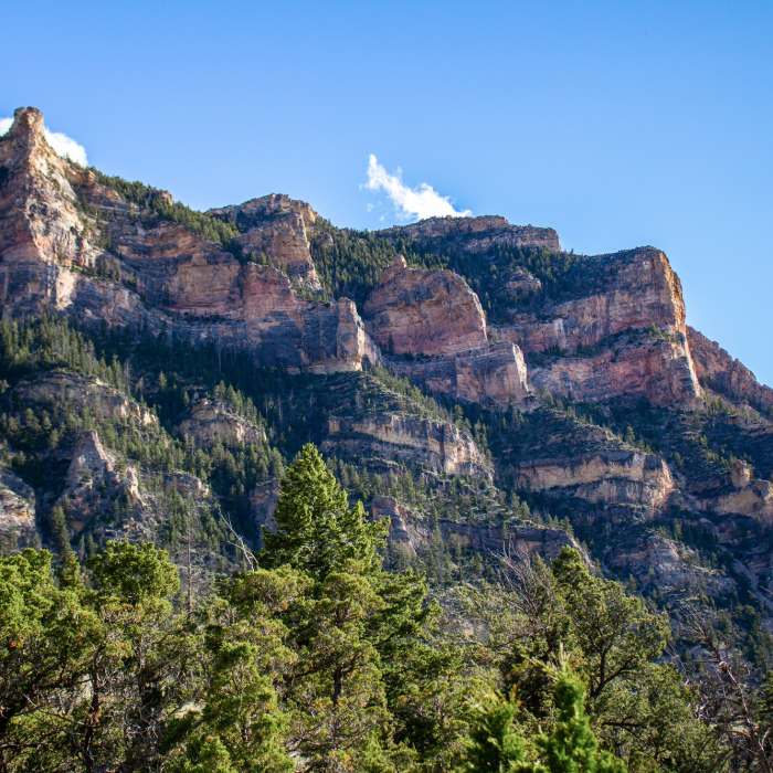 The rim of Shell Canyon looking southwest. This trail features some of the most diverse terrain Wyoming has to offer, with high alpine forests, mid-mountain ponderosa forests, steep canyon walls, and low desert landscapes. Near Shell Bench Trail #184