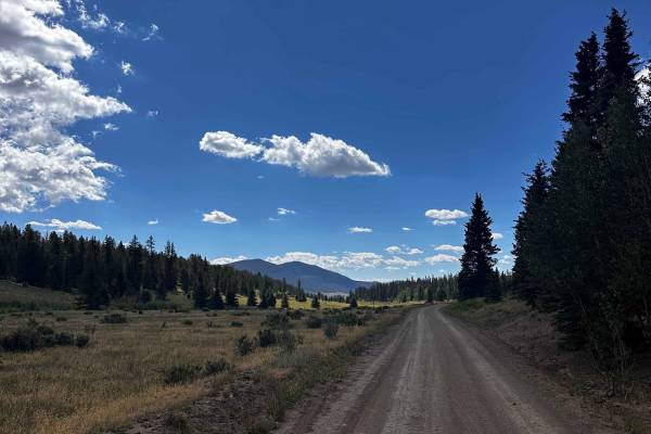Chubb Park Trail - FS 309