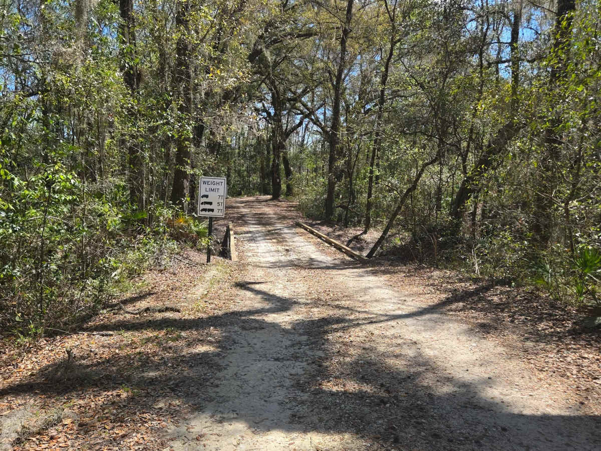 West V Road trail photo