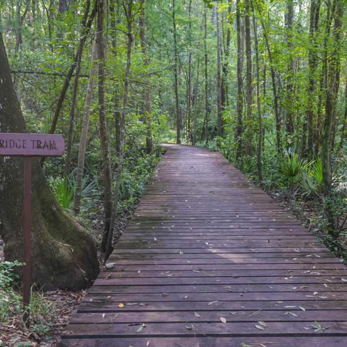 Near Savannah & Ogeechee Canal Trail Near Savannah & Ogeechee Canal Trail