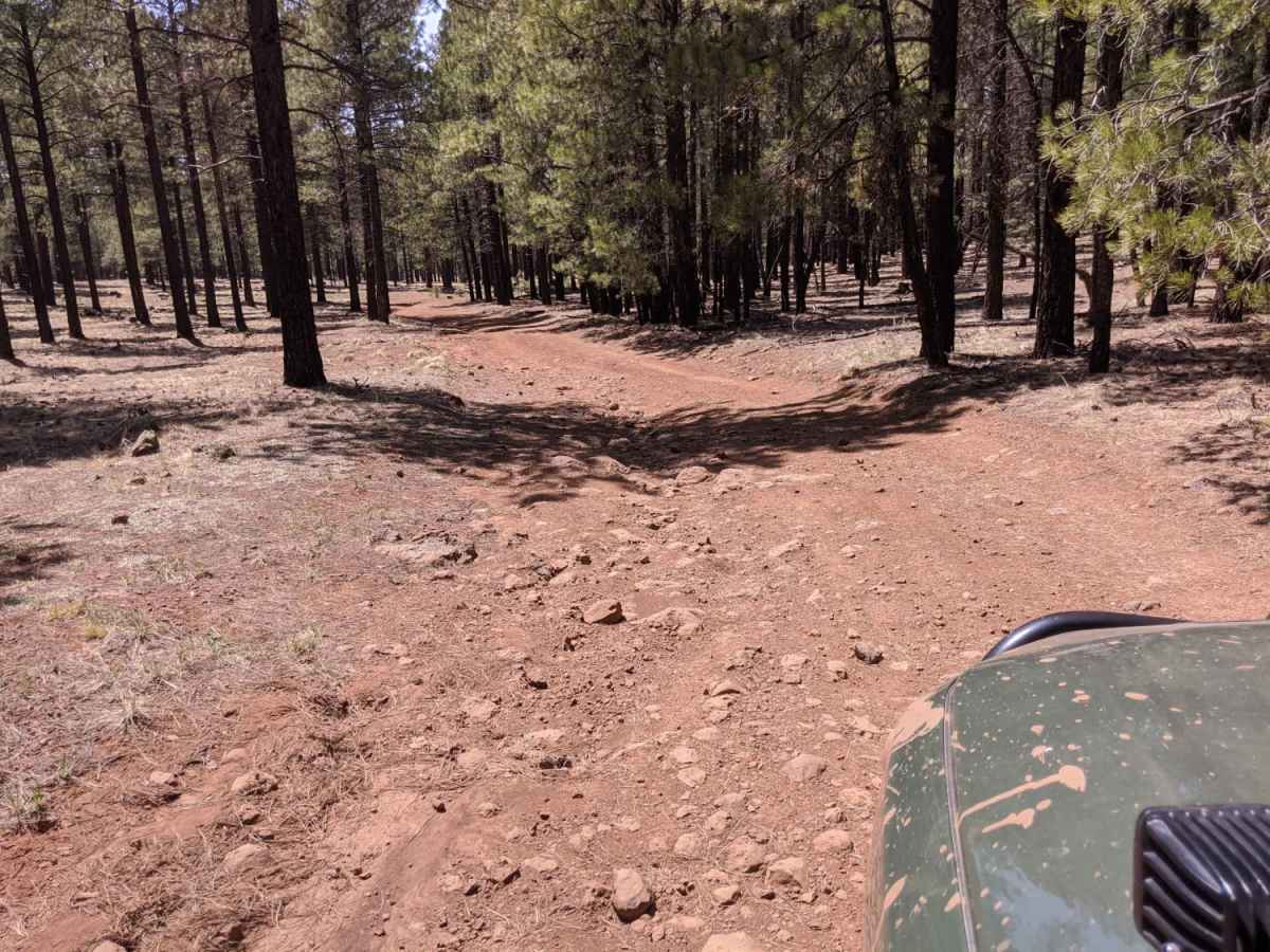 9008L Road trail photo