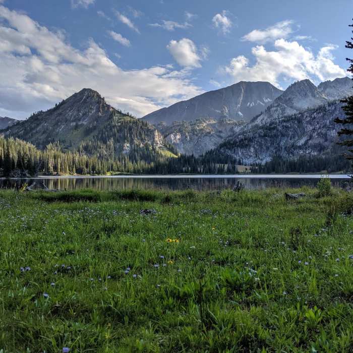 Near East Fork to Glacier Lake to West Fork Loop