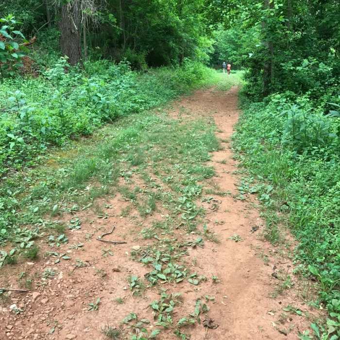 Near Jason Stevens Loop