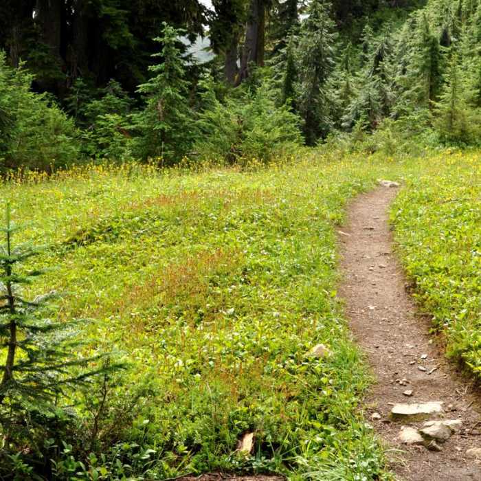 Near Dock Butte Hike