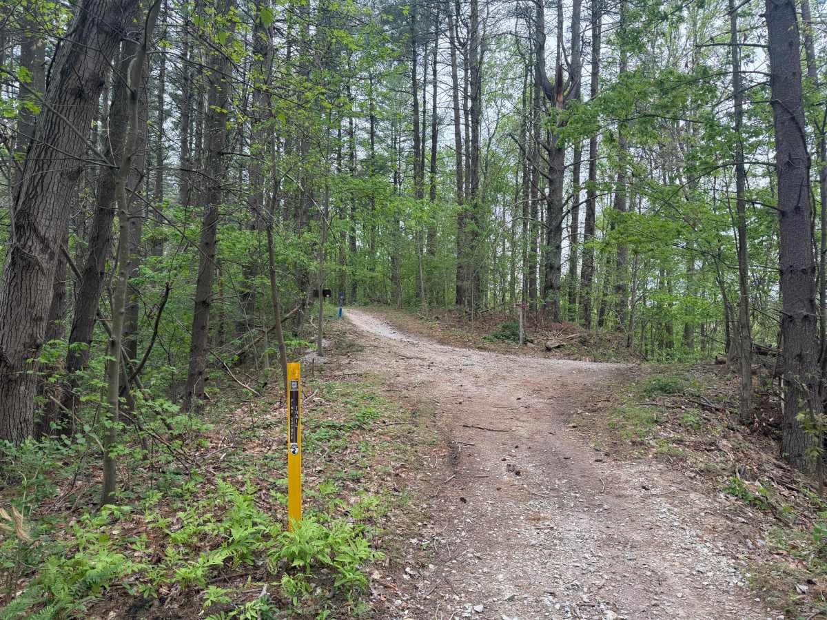 Pine Cutoff photo 3