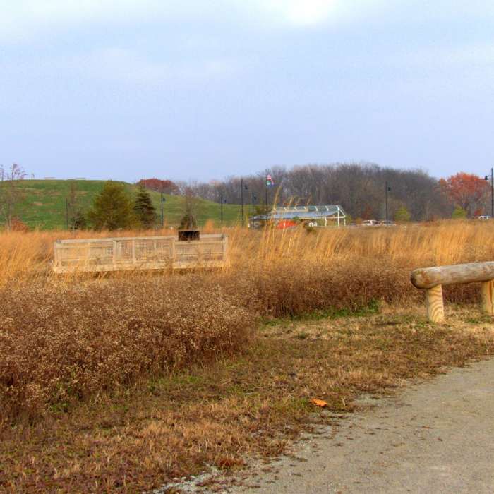 Near Flat Fork Creek Park Nature Trail Near Flat Fork Creek Park Nature Trail