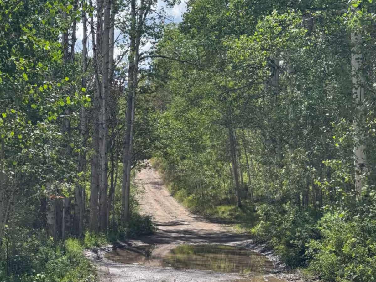 Mill Creek Road  photo 6