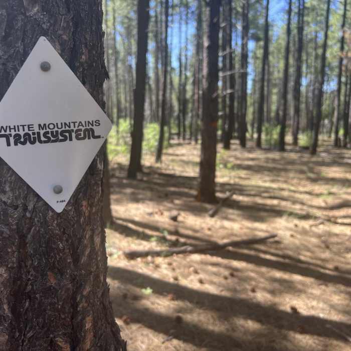 Near Pat Mullen Mountain