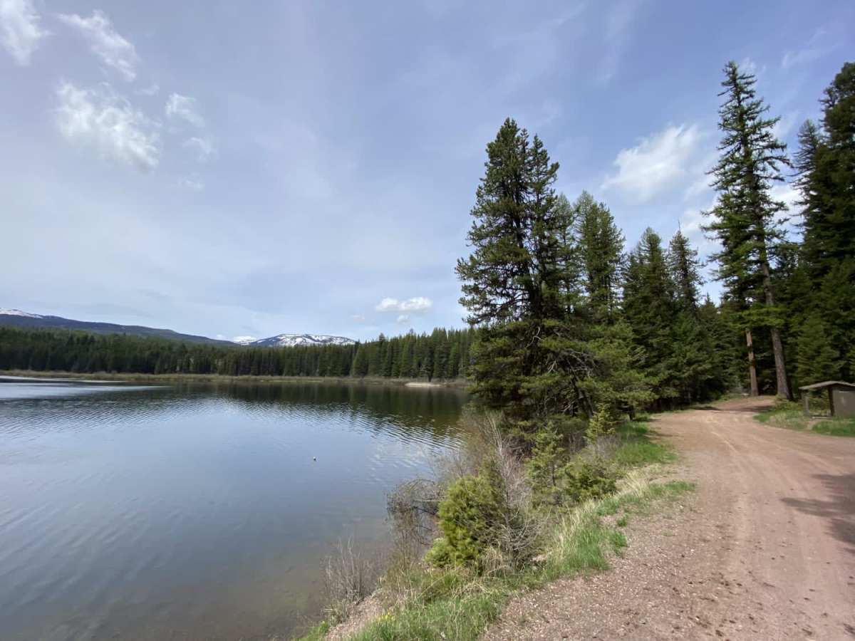 Lake Inez Campground Loop photo 6
