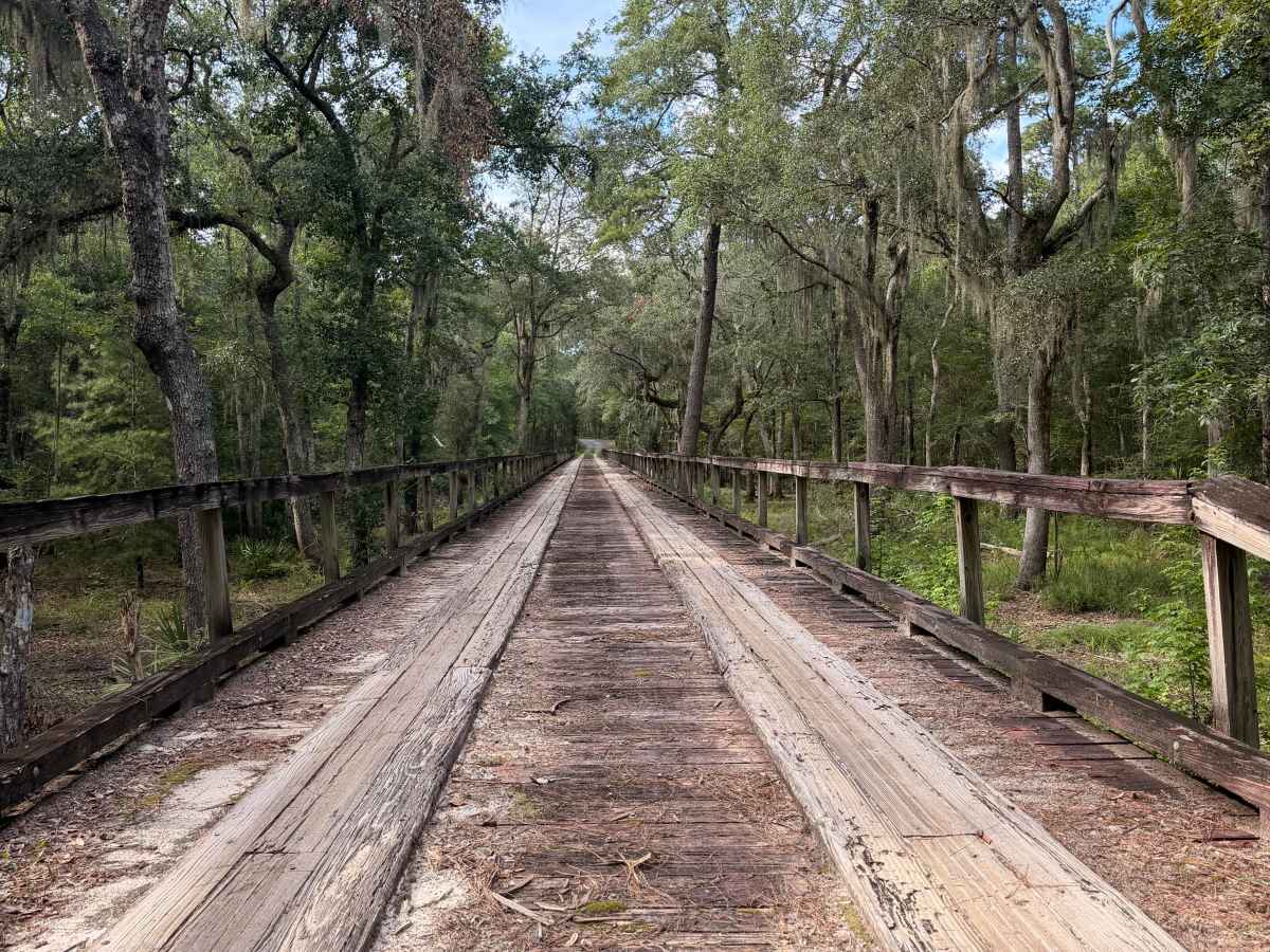 Johnson's Bridge Trail trail photo
