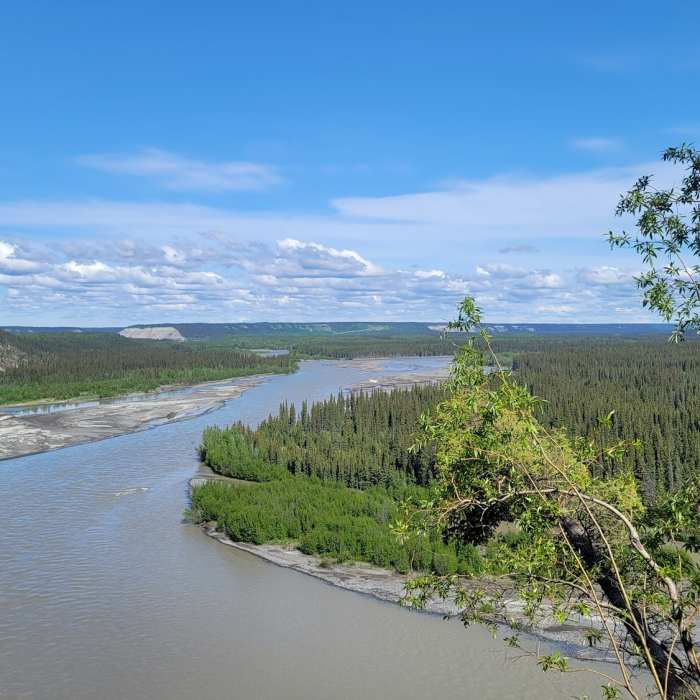 Copper River Near Visitor Center Trail loop-Boreal Forest Trail and Copper River trail