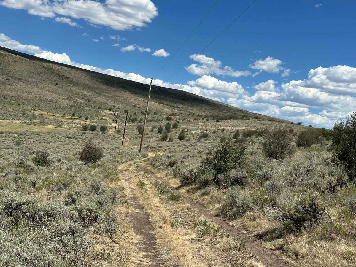 Jensen Creek Ridge Road photo 5
