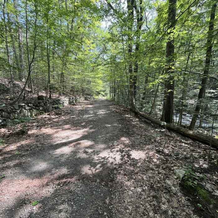 Near East Mountain Loop Near East Mountain Loop
