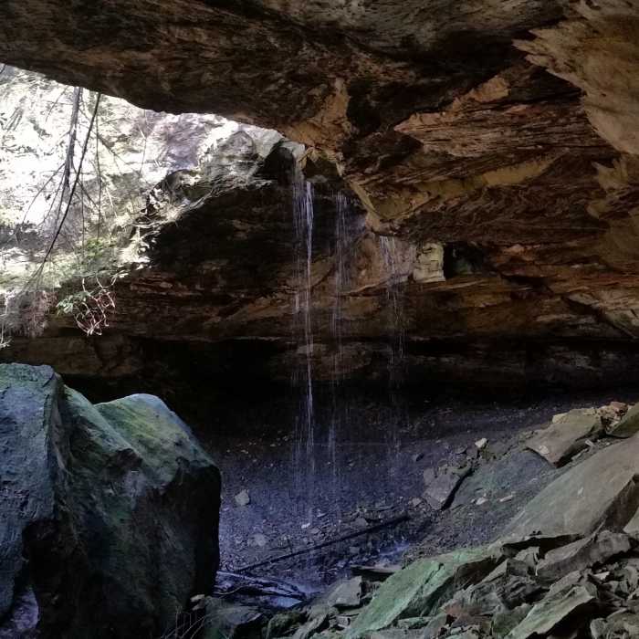 Near Sheltowee Trace NRT: Section 31