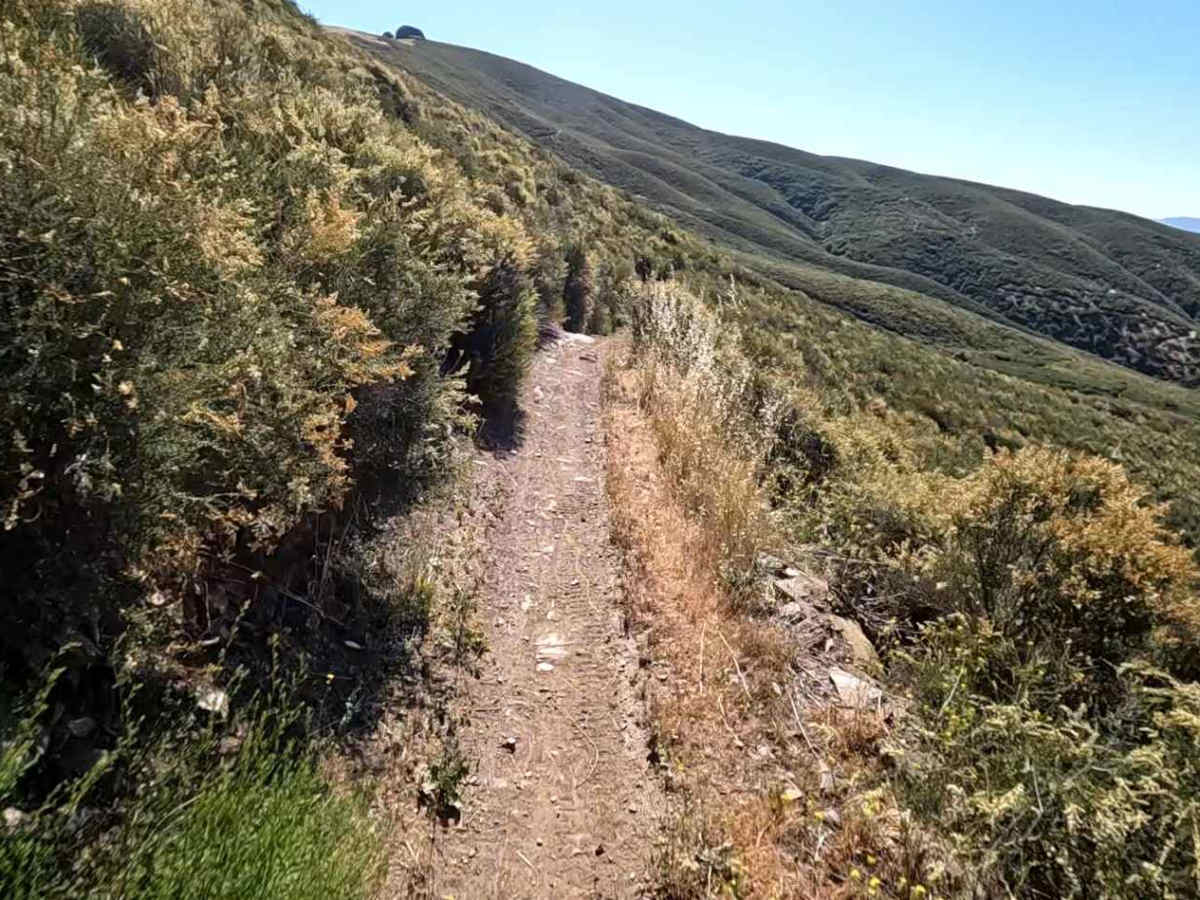 Sierra OHV Trail photo 2