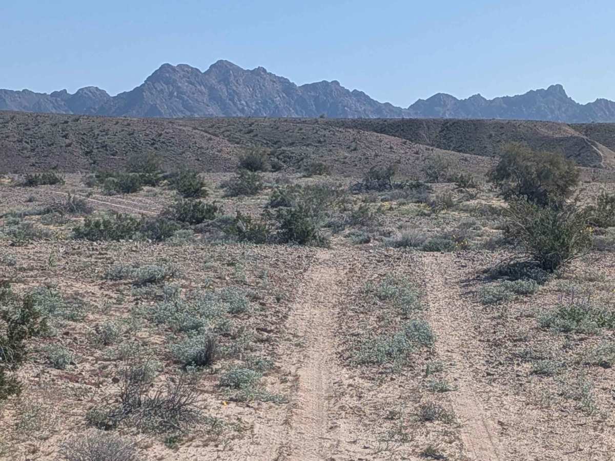 EC1124 trail photo