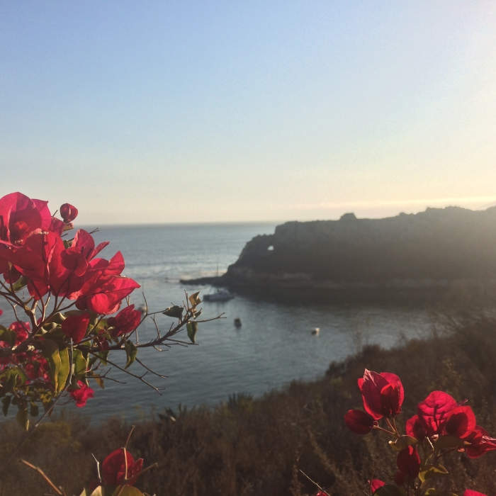 Near Shell Beach Bluff Trail