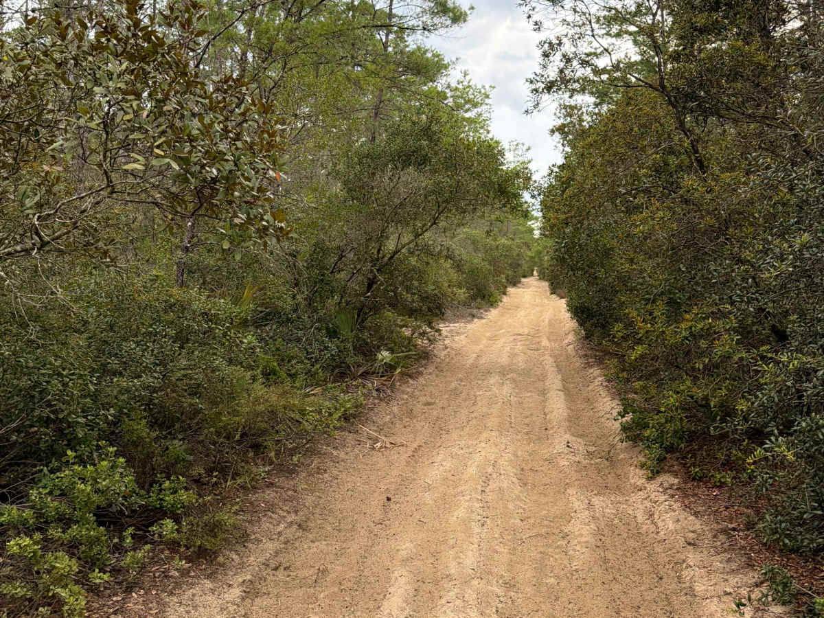 FS 45-4.2 trail photo