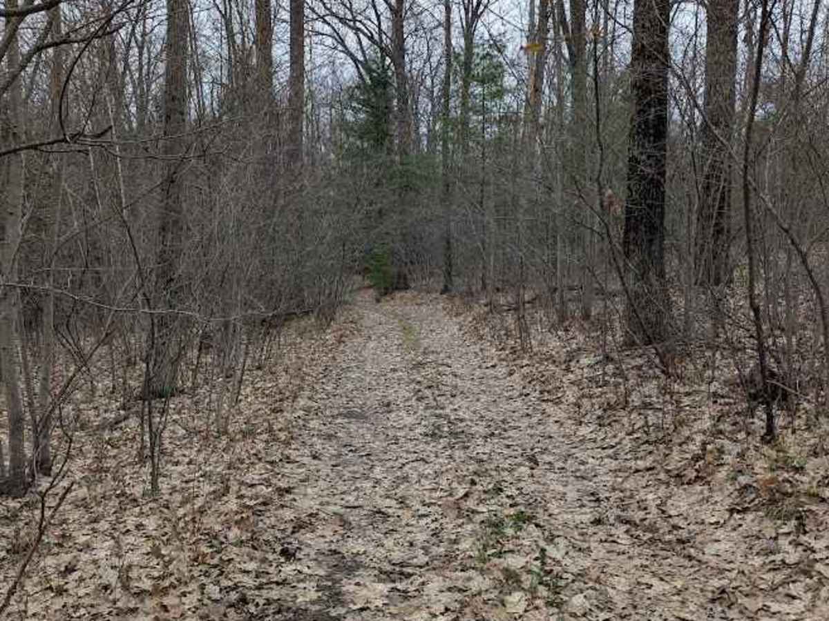Creek Crossing photo 2