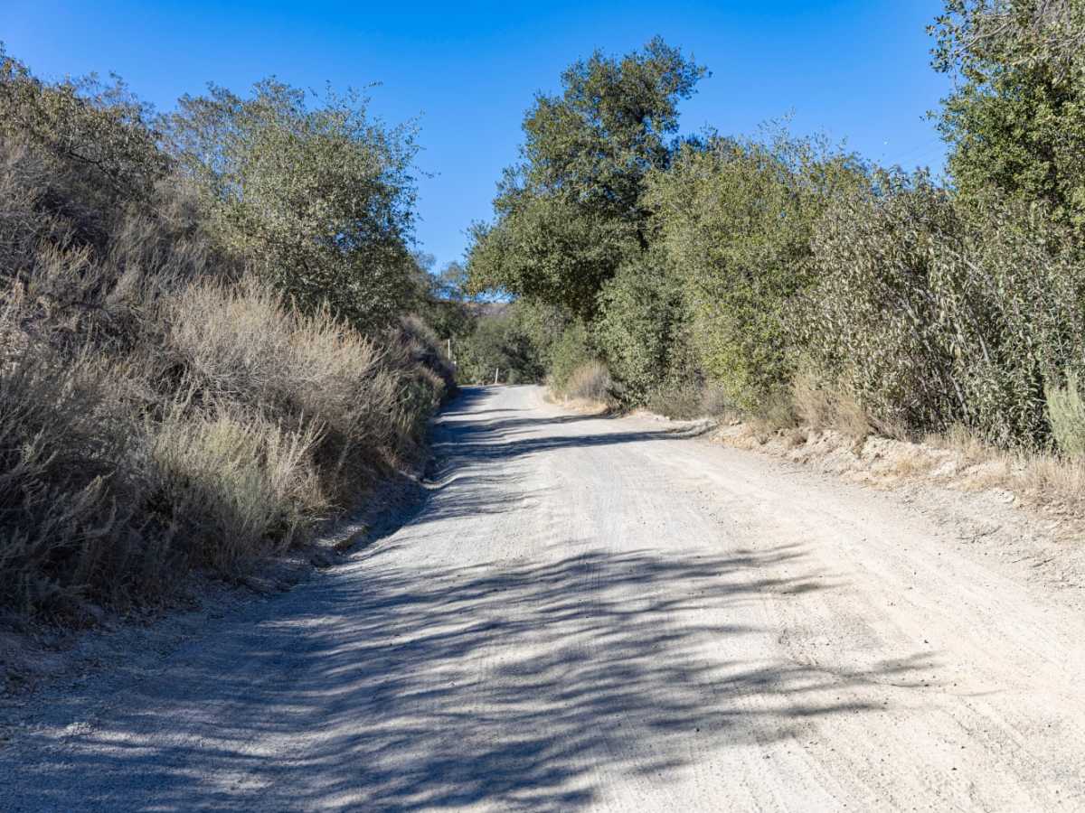 Otay Mountain Truck Trail photo 2